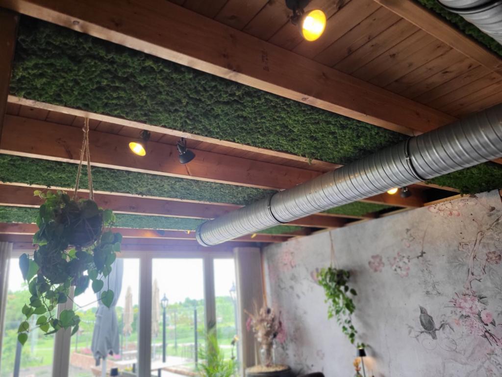 Rendiermos Akoustische Panelen - Natuurlijke Geluidsisolatie, Ophalen, Nieuw