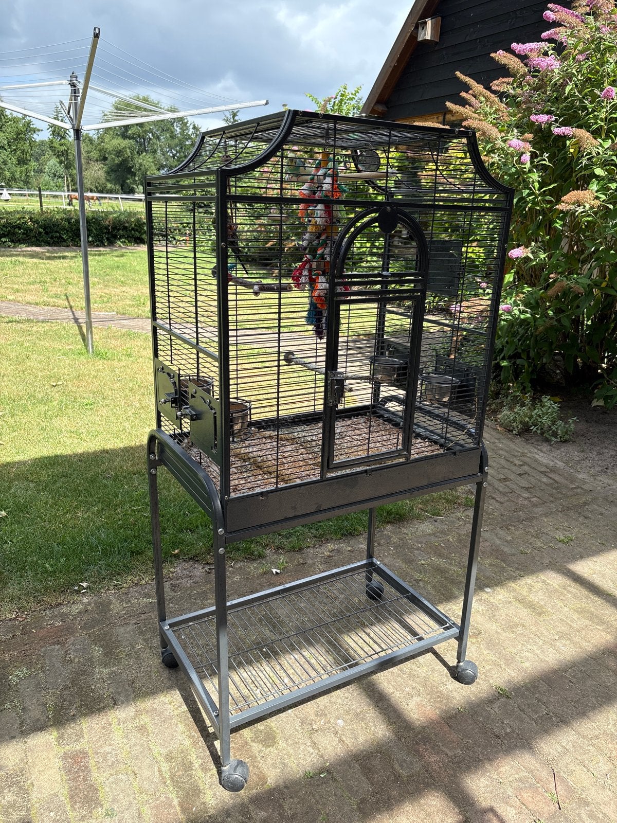 koppeltje tamme grasparkieten incl kooi, Dieren en Toebehoren, Vogels | Parkieten en Papegaaien, Meerdere dieren, Parkiet, Tam