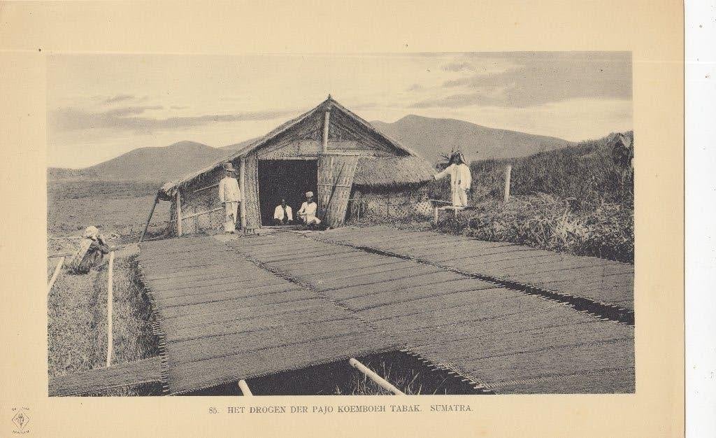 Originele fotogravure 1910 - Nederlands-Indië, Sumatra, Foto, Zo goed als nieuw, Voor 1940, Buitenland