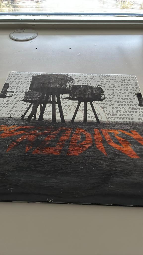 Rock Am Ring The Prodigy, Ophalen of Verzenden, Zo goed als nieuw, 12 inch