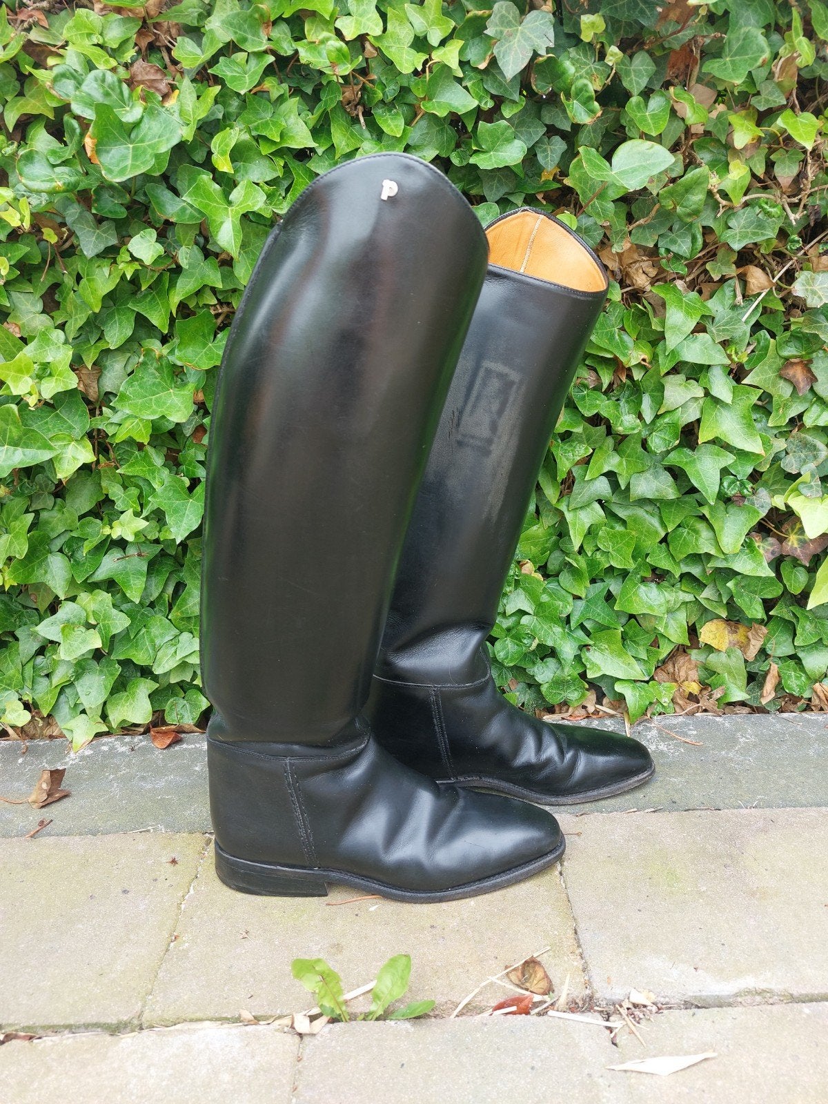 Petrie rijlaarzen, Ophalen of Verzenden, Gebruikt, Dressuur, Schoeisel