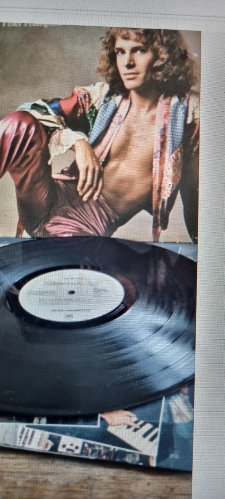 Peter Frampton - I'm In You LP (1977), Cd's en Dvd's, Ophalen of Verzenden, Gebruikt, 12 inch, LP