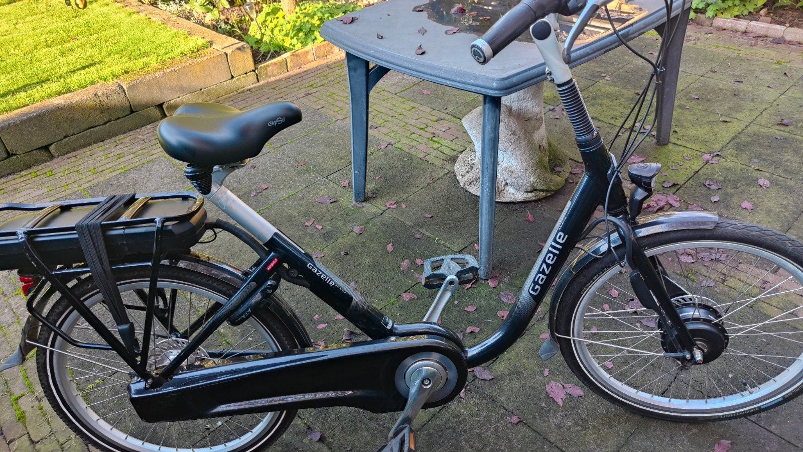 Foto 23 van Diverse Gazelle Electrische Fietsen