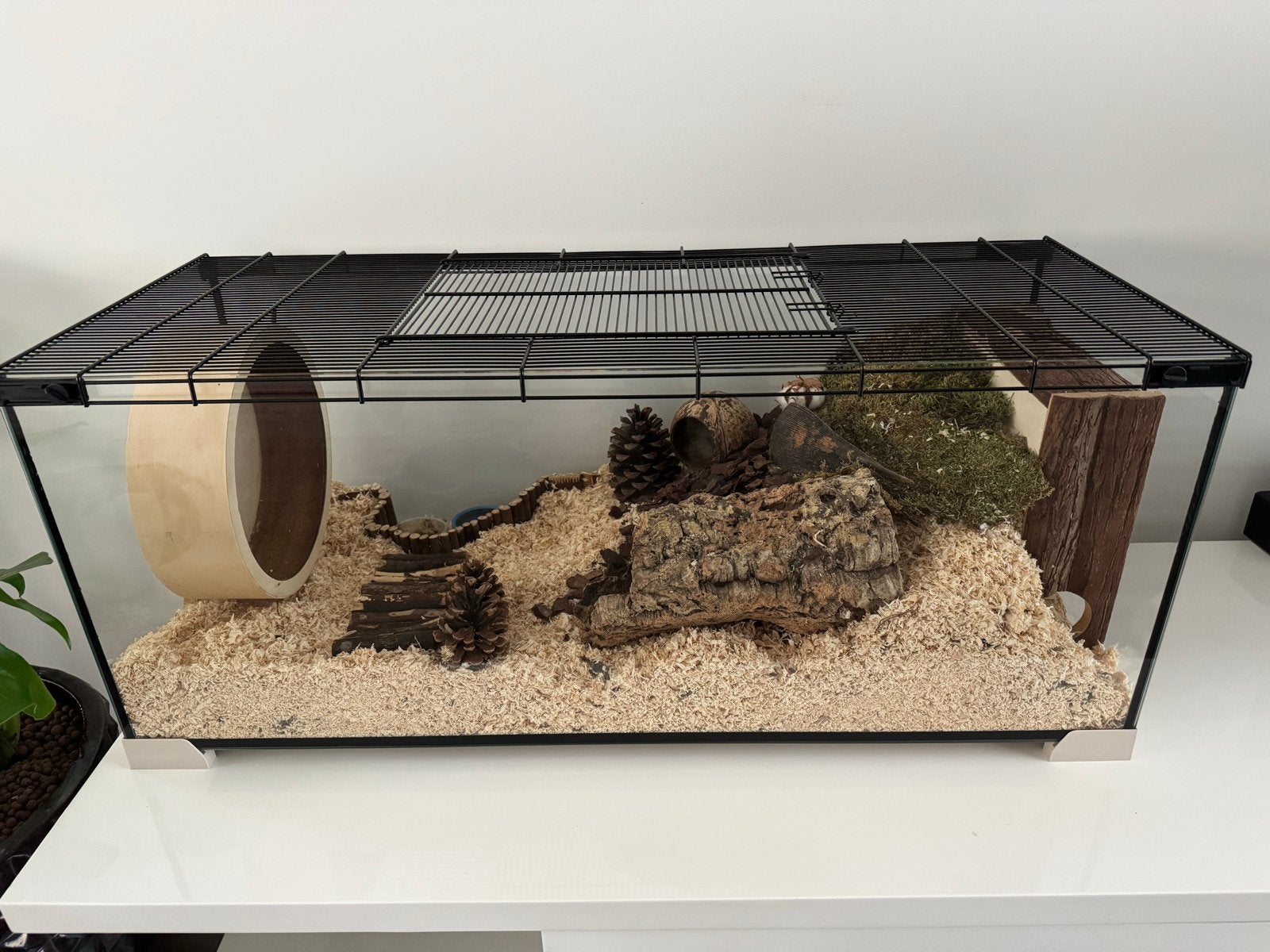Hamster terrarium 100 x 40 x 40 cm, Kooi, Gebruikt, Hamster, 75 tot 110 cm