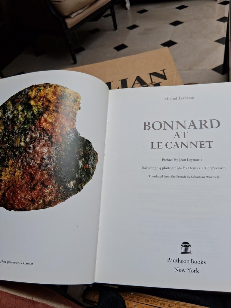 Kunstboek van Bonnard., Boeken, Ophalen of Verzenden, Zo goed als nieuw
