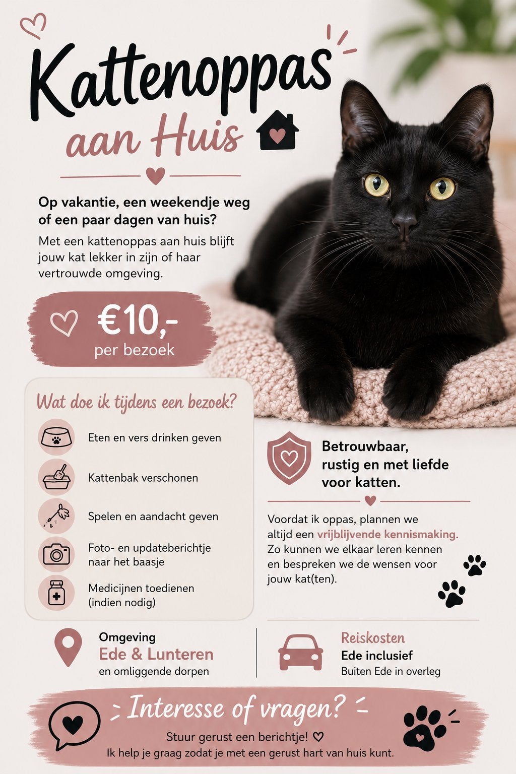 Kattenoppas omgeving Ede/Lunteren, Ophalen, Kat