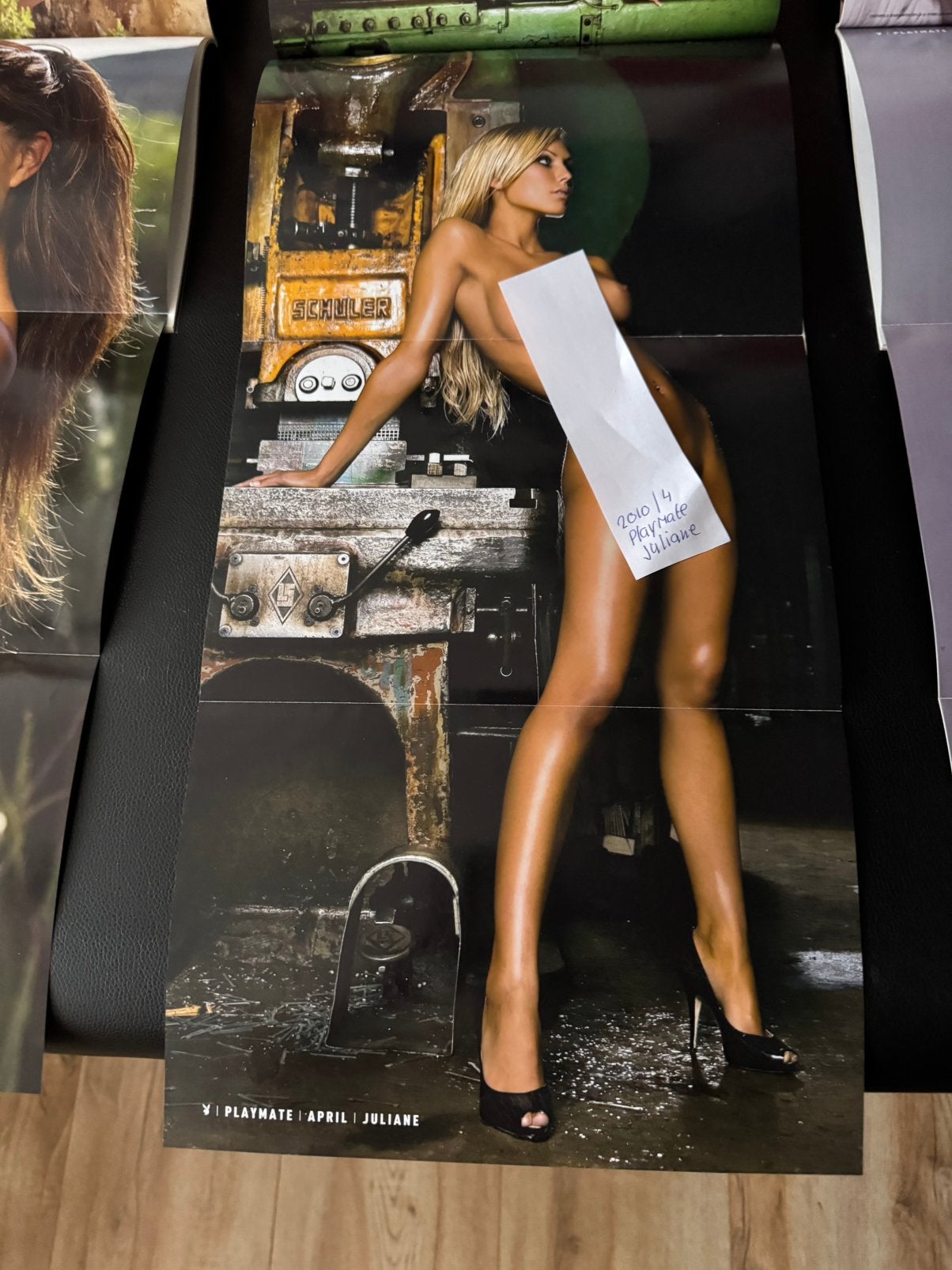 playboy middenposters 2011/2010 per stuk 6 eurp, Ophalen of Verzenden, Zo goed als nieuw, Muziek, Film of Tv