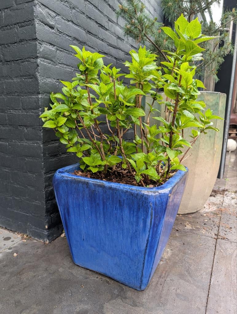 Grote blauw geglazuurde " vintage " bloempot - weerbestendig, Tuin en Terras, Bloempotten, Gebruikt, Aardewerk, Balkon, Tuin, 40 tot 70 cm