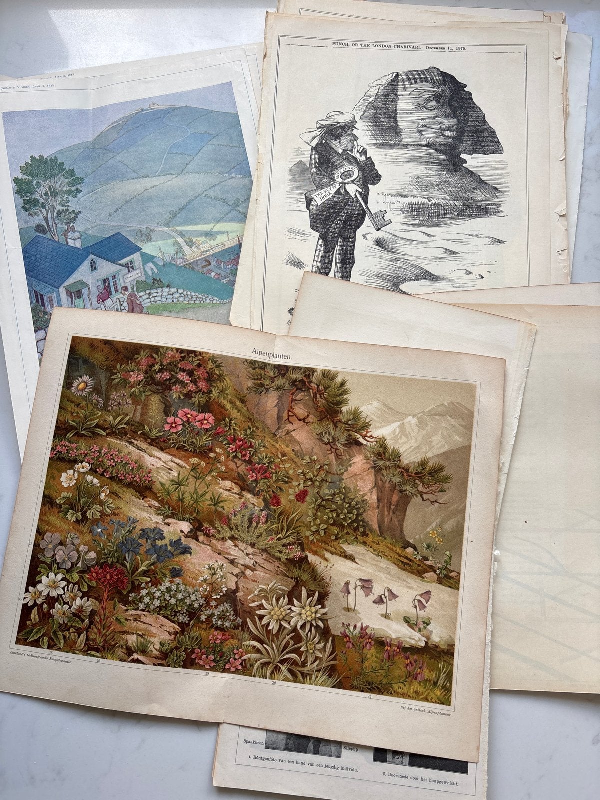 Oude Kranten en Tijdschriften - Diverse Uitgaven, Ophalen, Gelezen, Krant