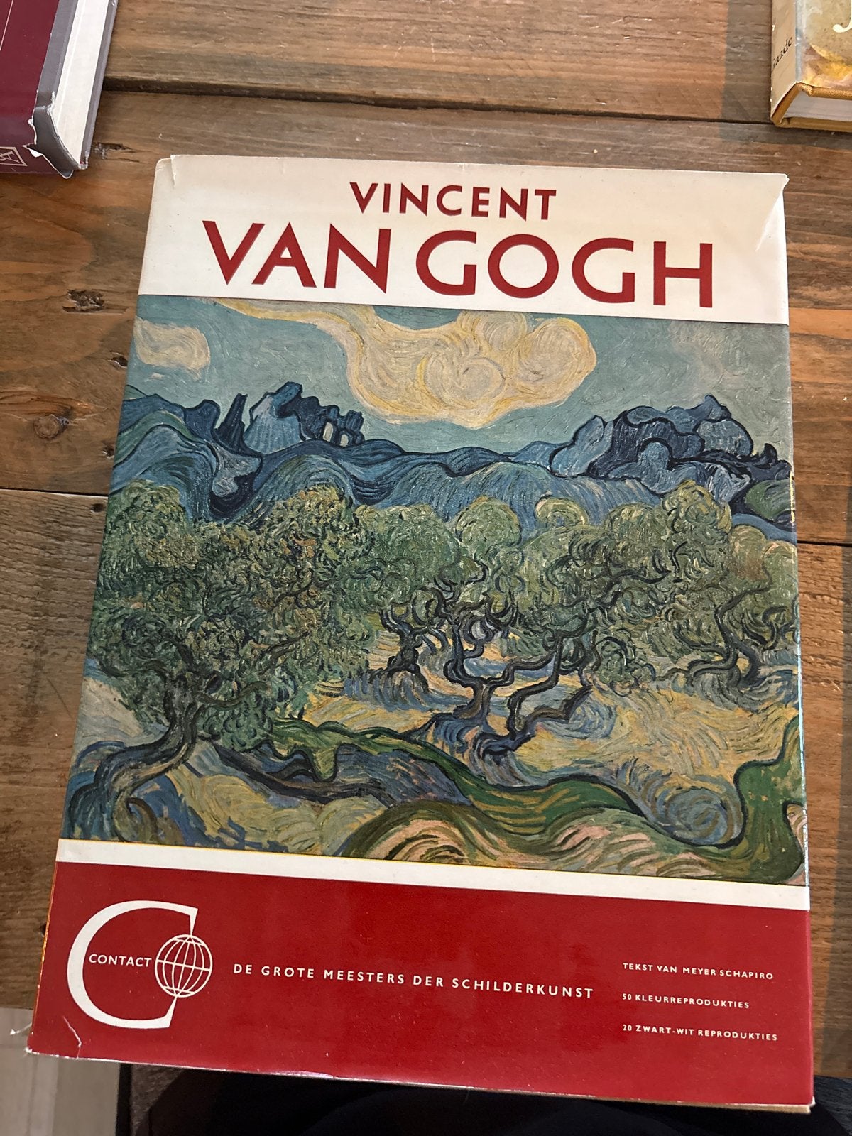 Vincent van Gogh - De Grote Meesters der Schilderkunst, Ophalen of Verzenden, Gelezen, Schilder- en Tekenkunst