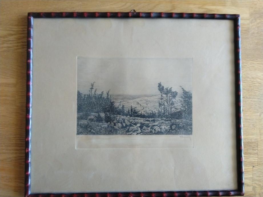 Oude ets boslandschap in lijst, Ingelijst, Ets, 35 cm, Ophalen of Verzenden