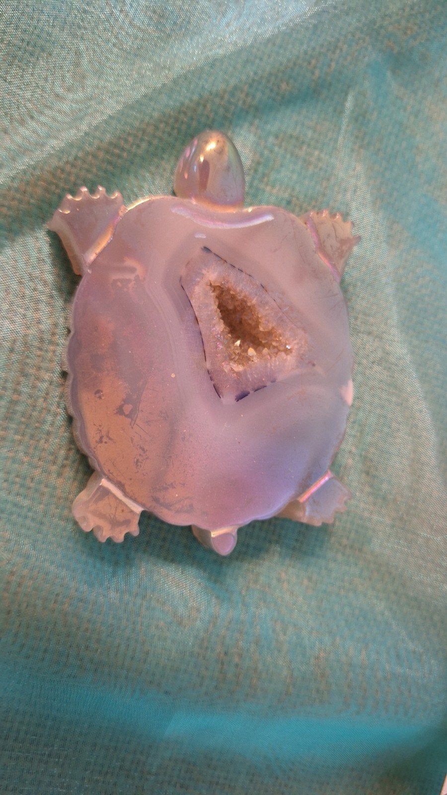 Agaat zeeschildpadje, Ophalen of Verzenden, Zo goed als nieuw, Dier