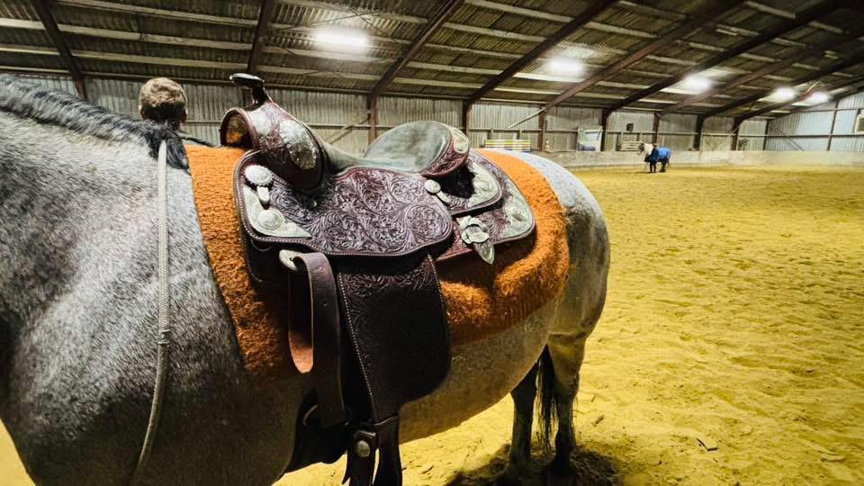 Billy Cook western reining zadel in zeer goede staat, Dieren en Toebehoren, Paarden en Pony's | Zadels, Ophalen of Verzenden, Zo goed als nieuw