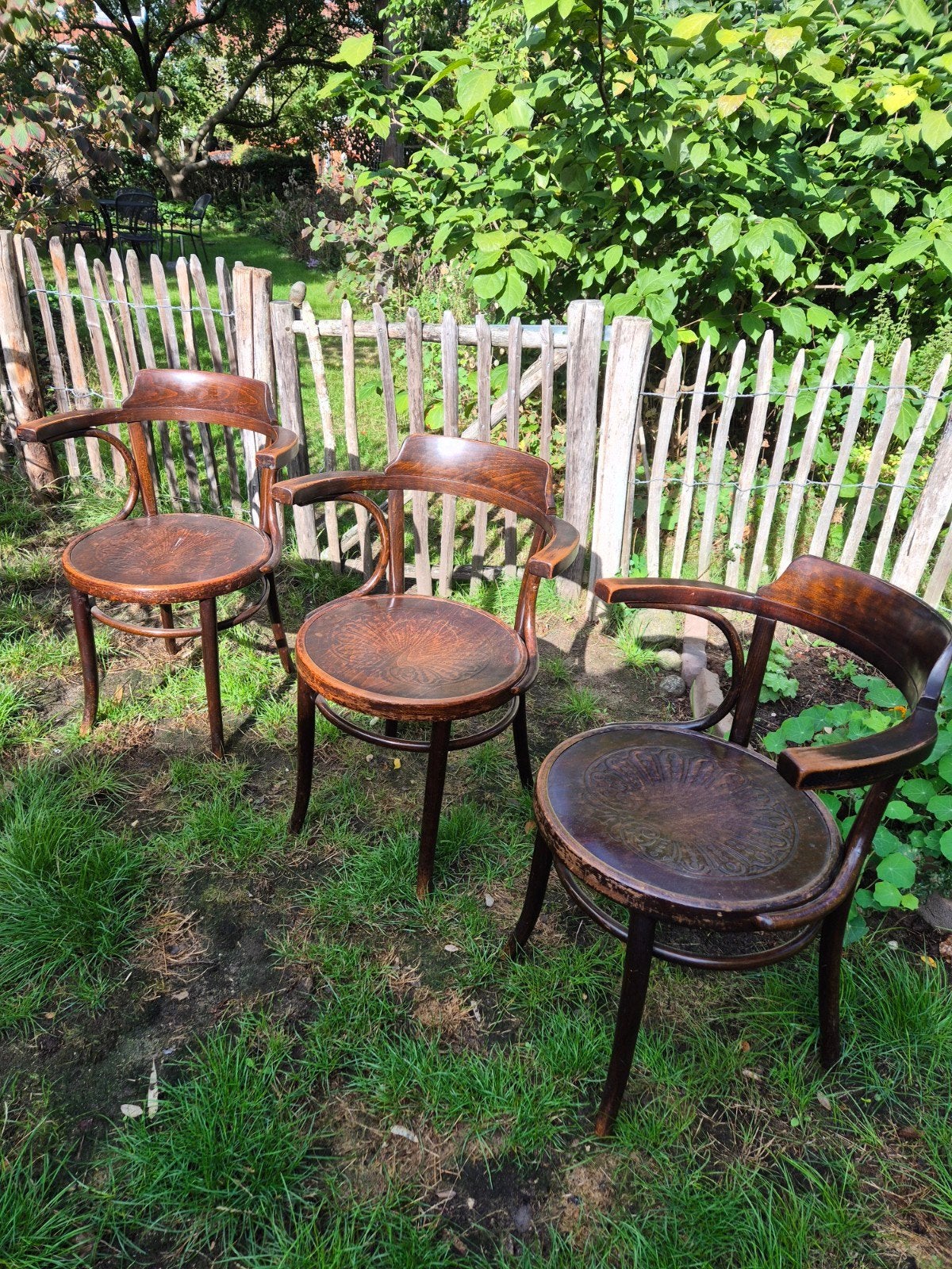 Set van 3 Thonet Cosmos Pauwenstoelen (1910-1920), Antiek en Kunst, Ophalen