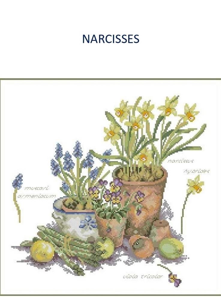 Borduurpatroon Narcissen, Verzenden, Nieuw, Handborduren, Patroon