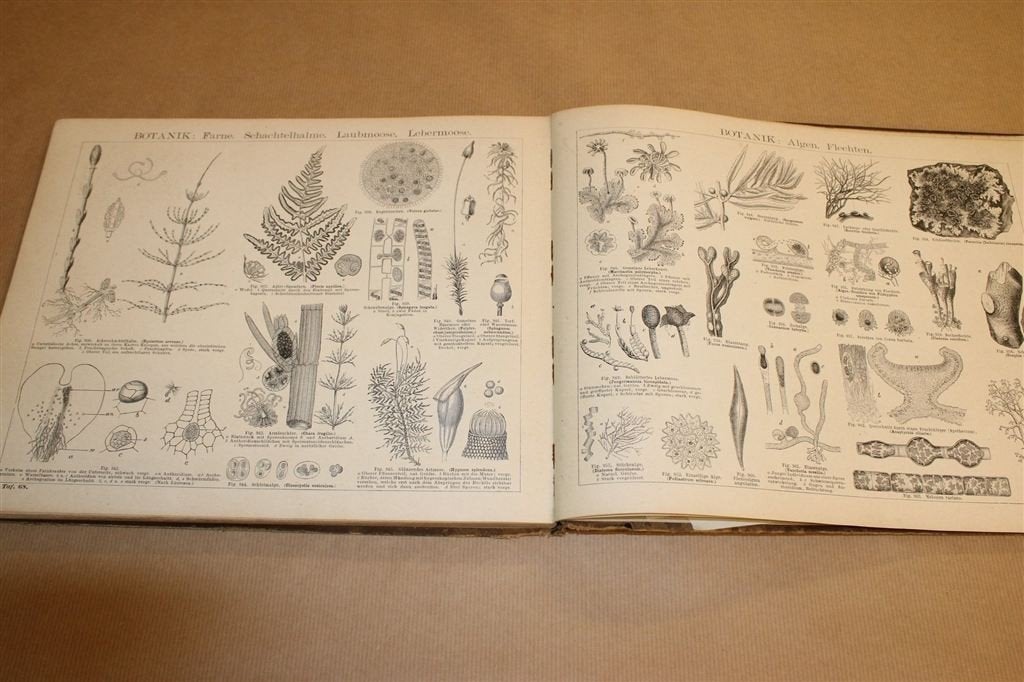 Antieke Natuurhistorische Atlas [1892] — Veel Litho\'s, Ophalen of Verzenden