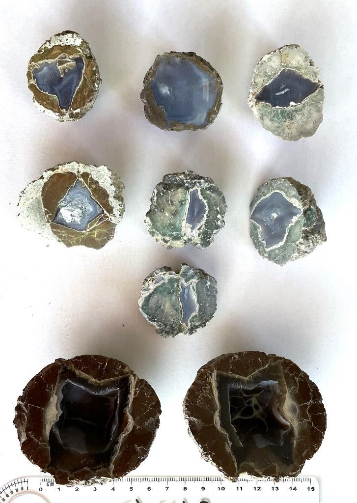 Thundereggs - donderstenen uit de USA, Verzenden, Mineraal