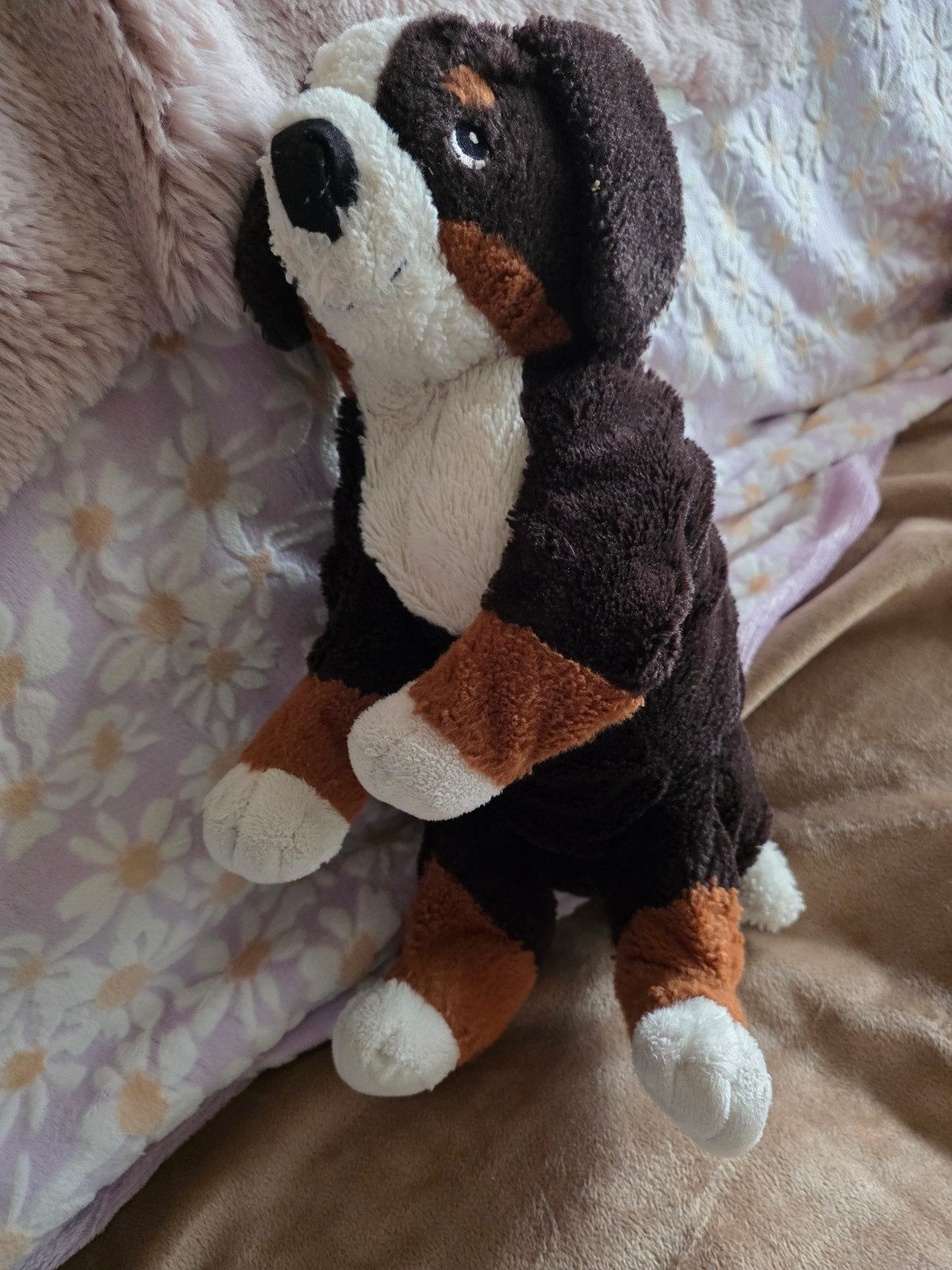 Berner sennen hond ikea Gebruikt, geen label, Ophalen of Verzenden, Hond