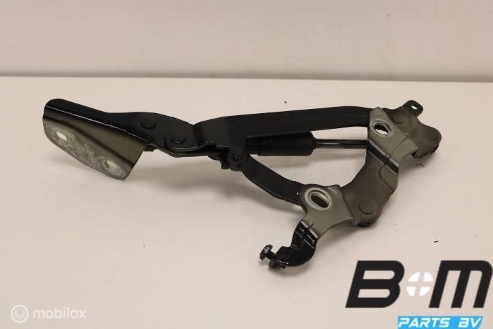 Achterklepscharnier Audi A3 8V Cabrio LY9B 8V7827299B, Gebruikt