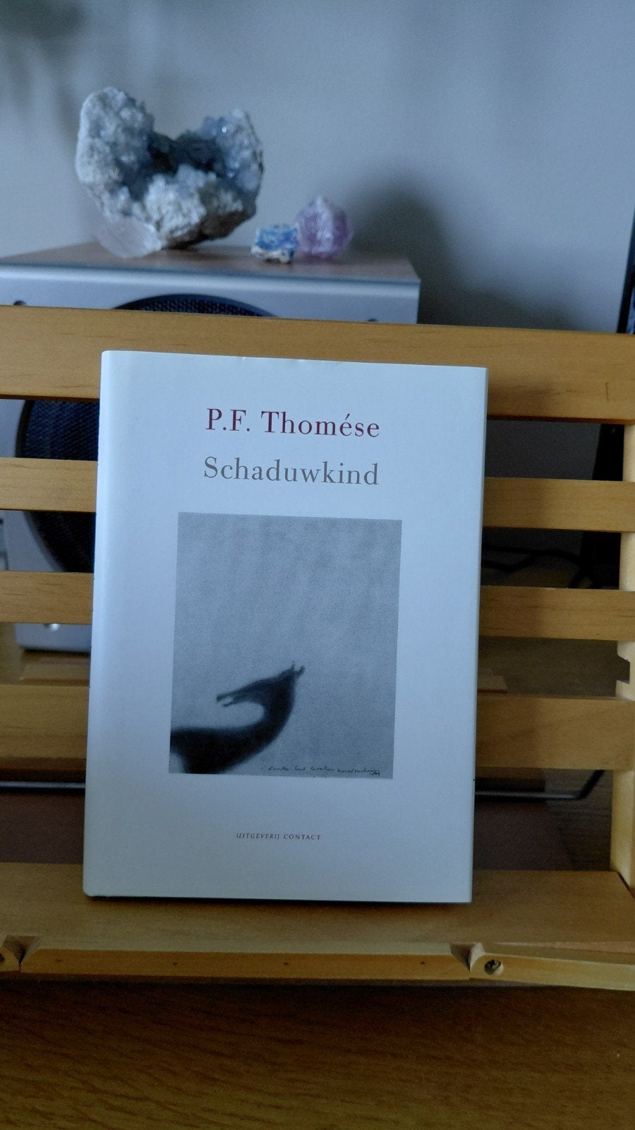 P.F. Thomése - Schaduwkind, Boeken, Ophalen of Verzenden, Zo goed als nieuw, P.F. Thomése