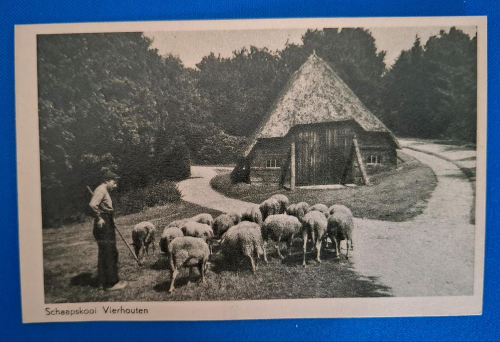 Ansichtkaart Vierhouten Schaapskooi, Ophalen of Verzenden, Ongelopen, Gelderland