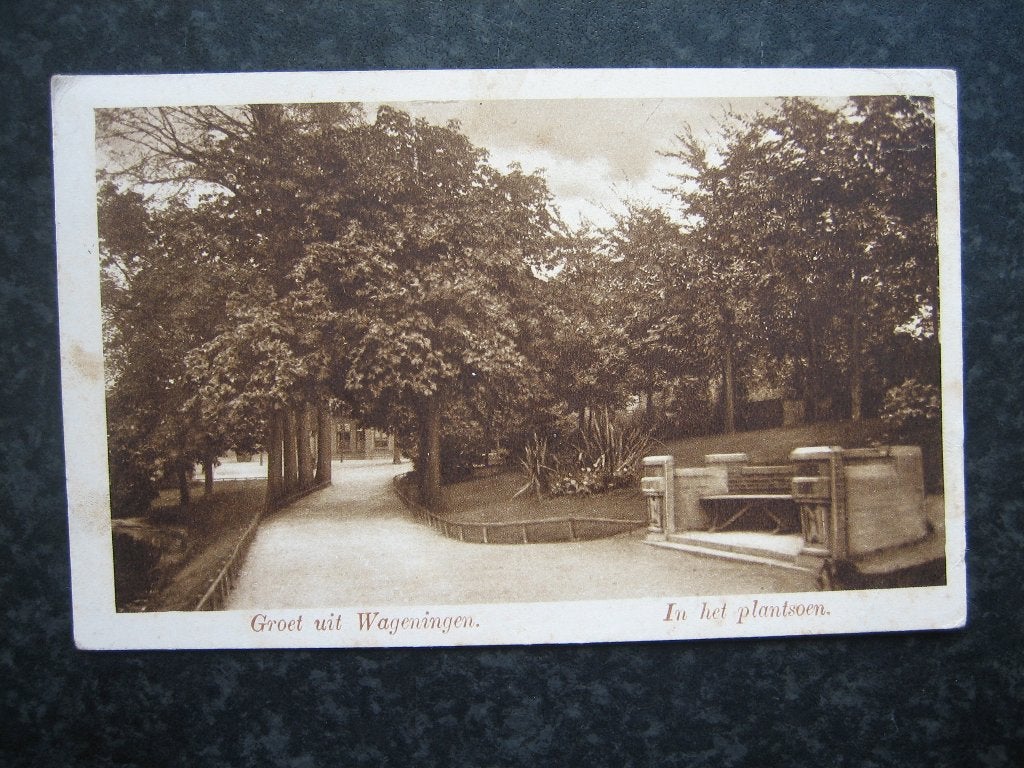 WAGENINGEN Park 1934, Ophalen of Verzenden, 1920 tot 1940, Gelderland