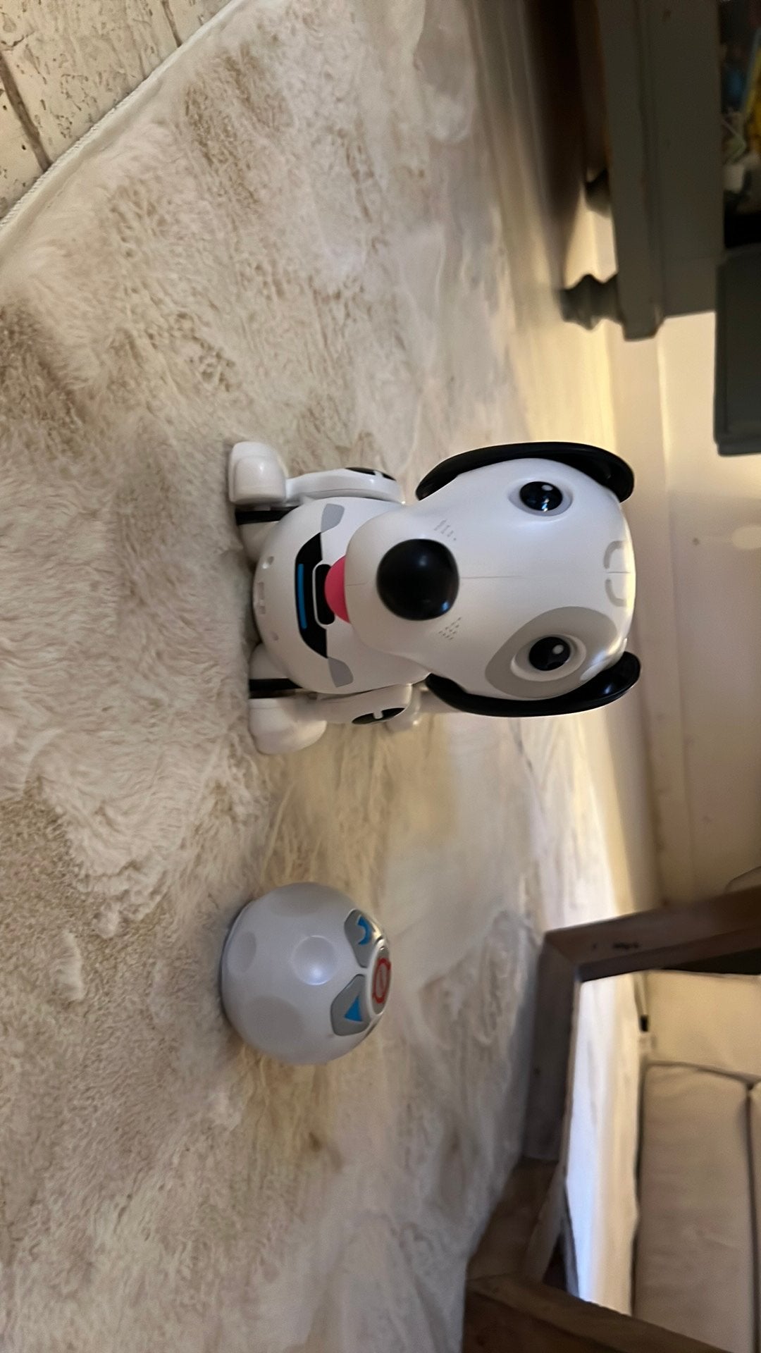 Robot hond, Ophalen of Verzenden, Gebruikt