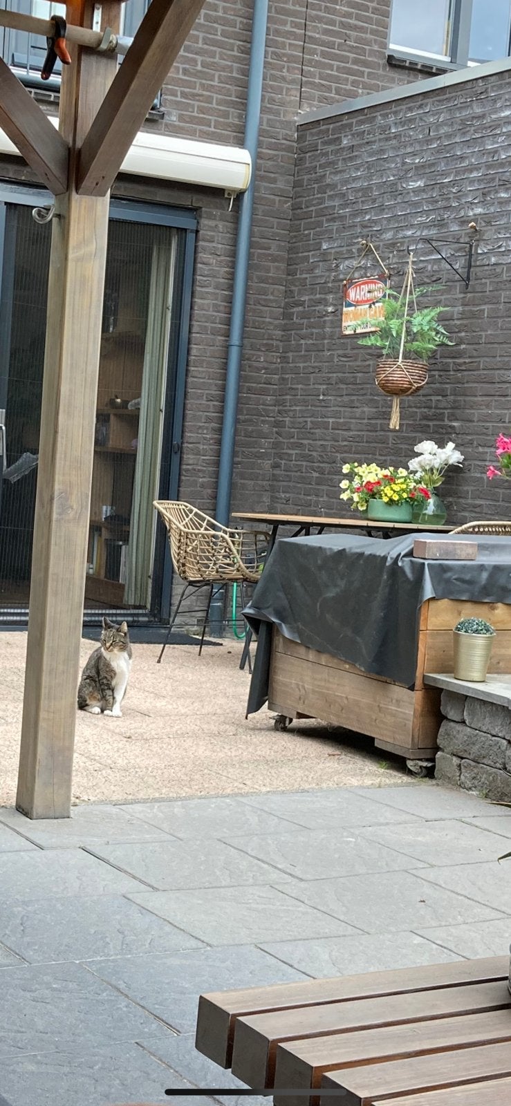 Gratis ophalen. Mooie terrastegels, Tuin en Terras, Ophalen, Gebruikt, Beton, Terrastegels