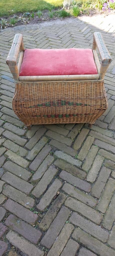Vintage Naaimand van Pitriet met Kussen, Antiek en Kunst, Ophalen of Verzenden