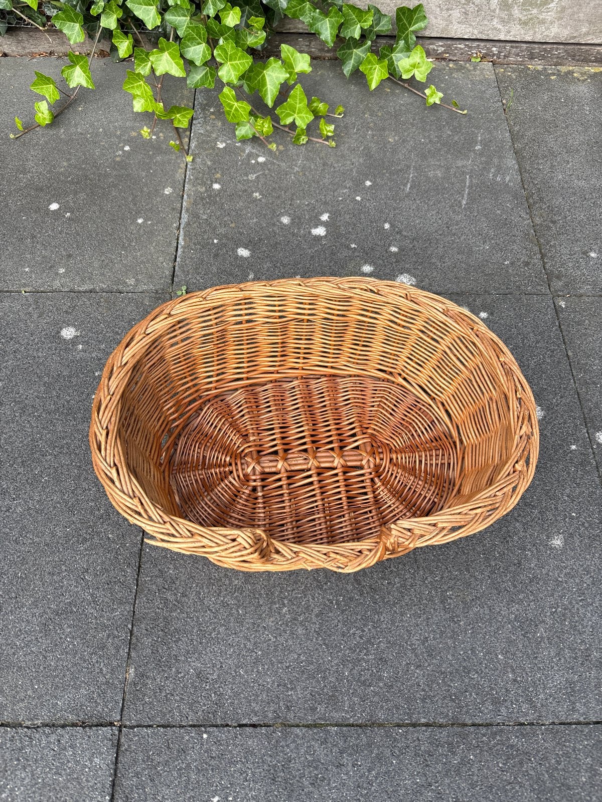 Mand ovaal rotan voor kat/hondje, Ophalen, Zo goed als nieuw, Riet