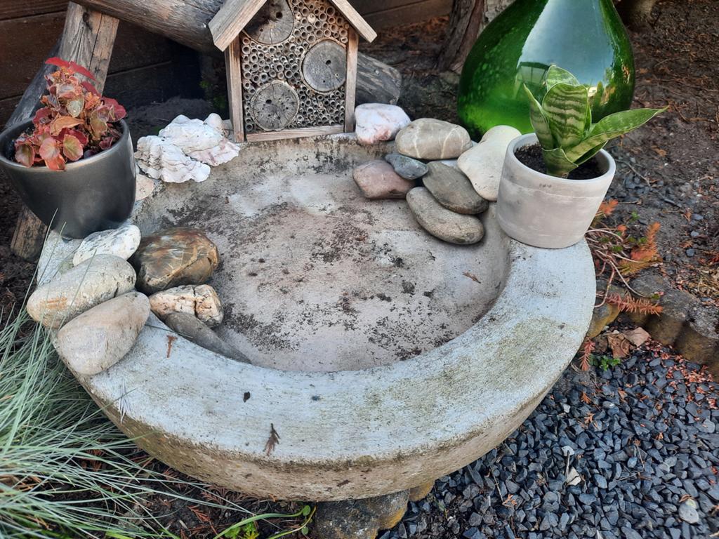 Vijverbak, drinkbak voor vogels en kleine waterplantjes, Ophalen, Gebruikt, Beton, Waterornament