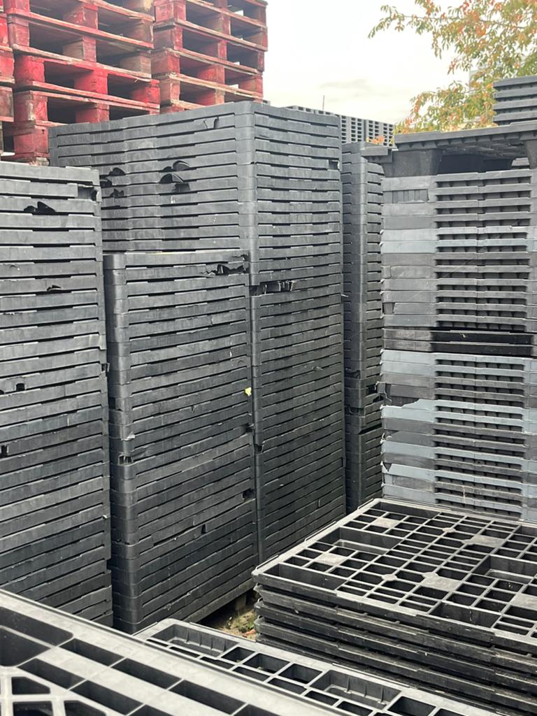 Kunststof pallets, Ophalen of Verzenden