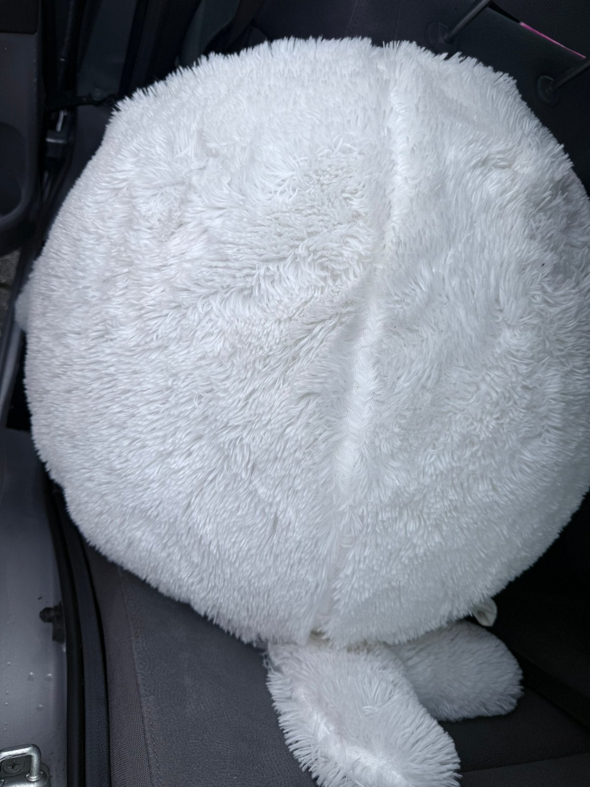 Grote pluche zeehondbal met plastic bal binnenin, Kinderen en Baby's, Overige typen, Ophalen of Verzenden, Zo goed als nieuw, Middelgroot (20 tot 80 cm)