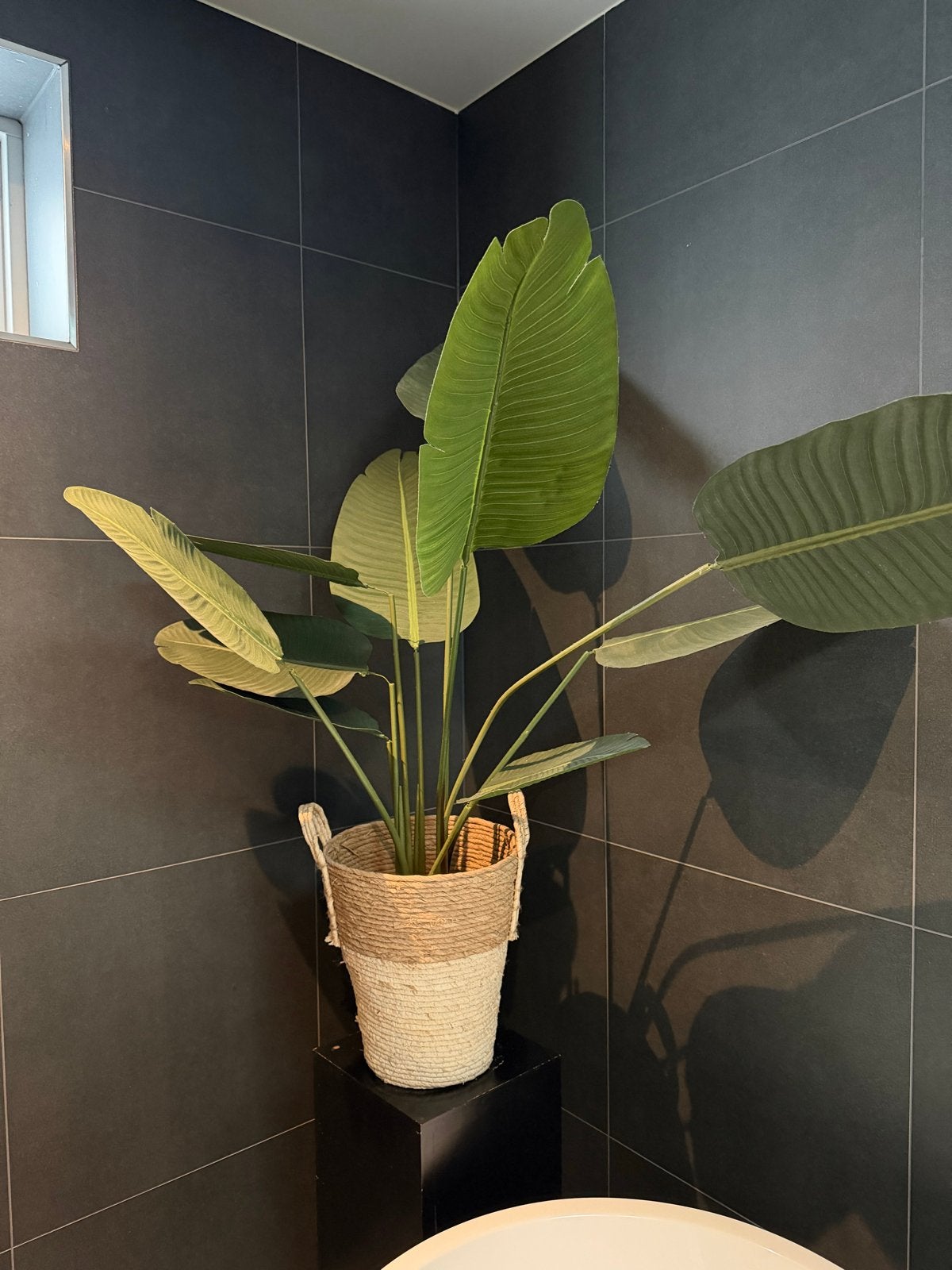 Grote kunstplant in rieten mand - zo goed als nieuw, Ophalen, Binnen, Groen, Kunstplant