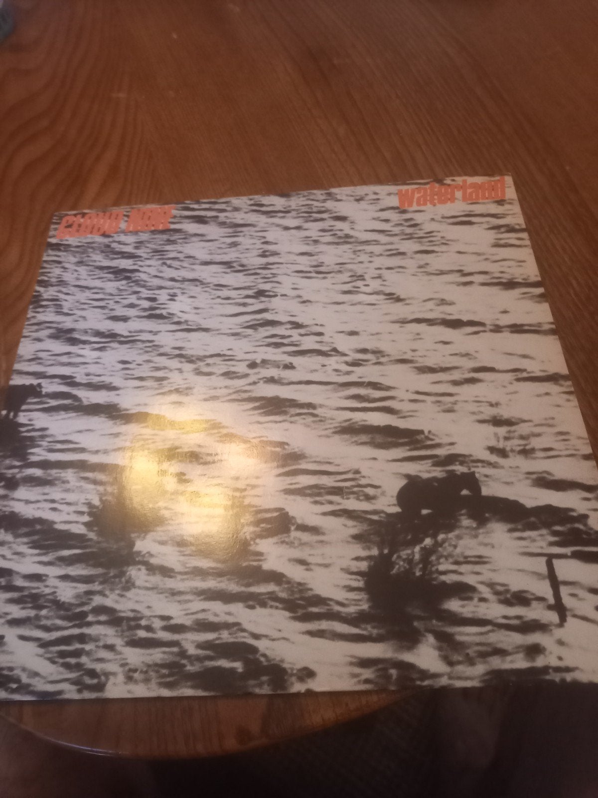 Echo & The Bunnymen - Ocean Rain LP (1984), LP, Gebruikt, New wave, Ophalen of Verzenden