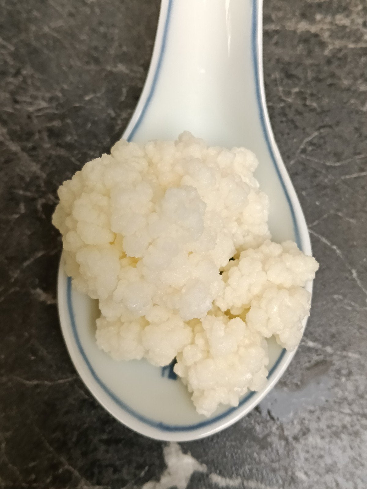 kefir kolonie, Diversen, Levensmiddelen, Ophalen of Verzenden