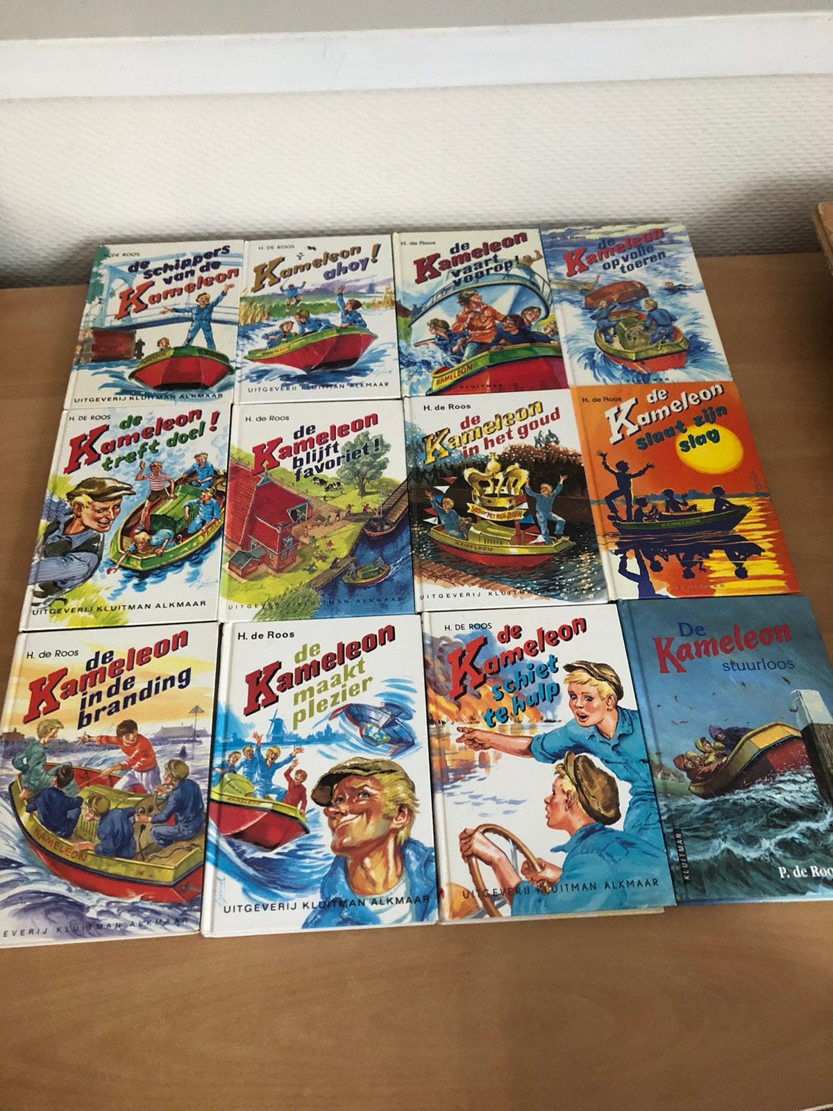 Partij van 12 verschillende kameleon boeken, Ophalen of Verzenden