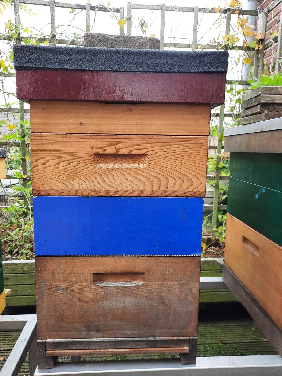 Bijenvolk, Dieren en Toebehoren, Bijen