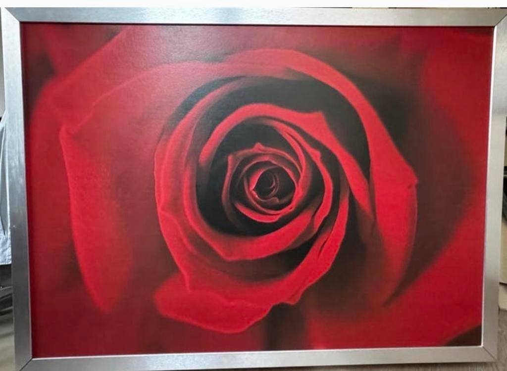 Grote lijst 110 x 150 met rode roos afbeelding, Ophalen, Gebruikt, 125 cm of meer, Print