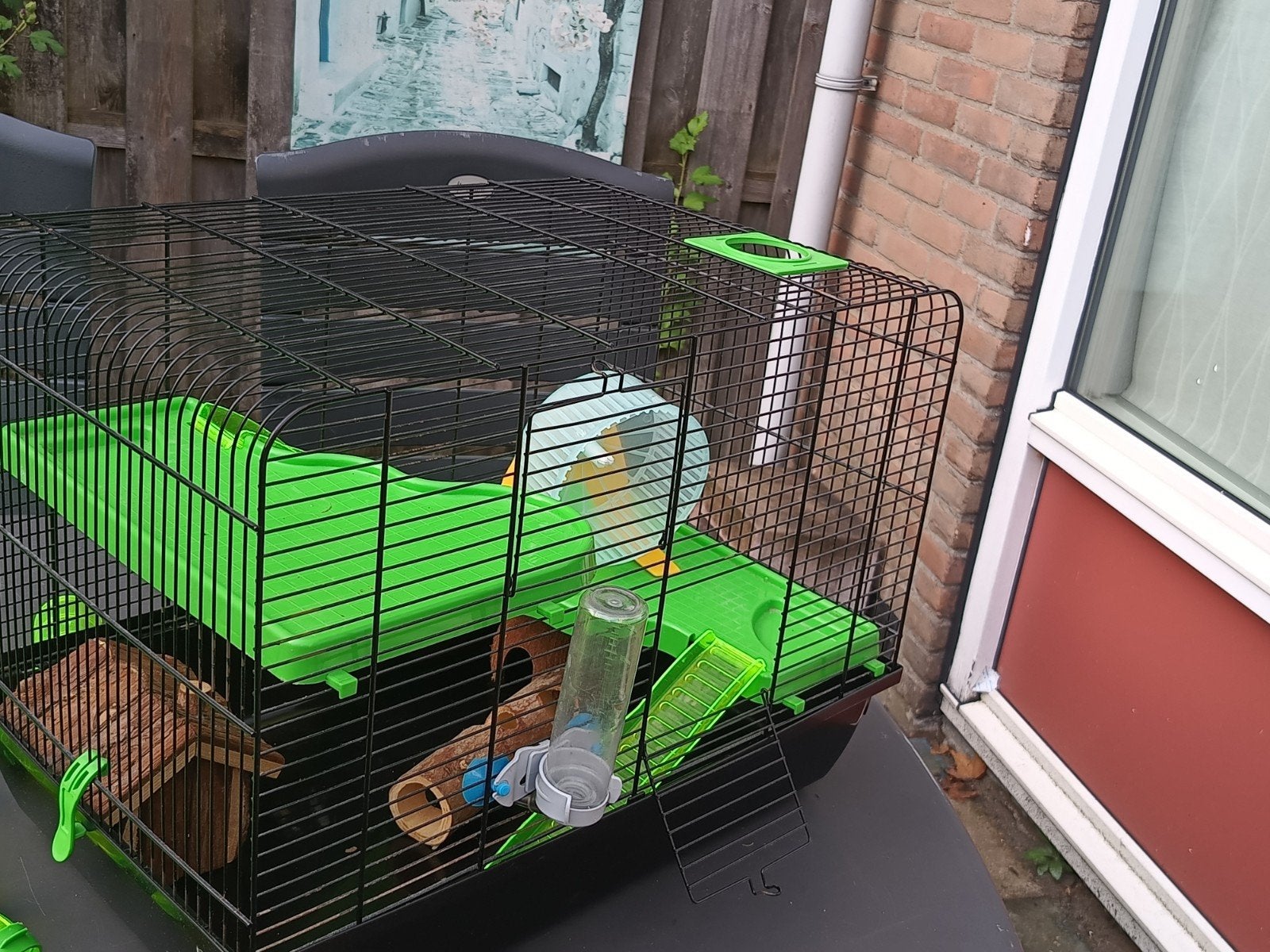 Grote hamsterkooi, Ophalen, Nieuw, Verzorging