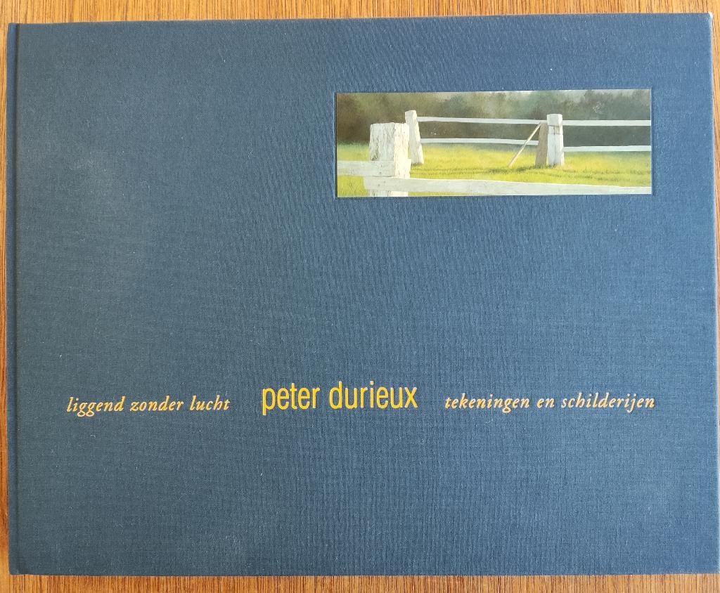 Peter Durieux -liggend zonder lucht. Tekeningen/schilderijen, Ophalen of Verzenden, Gelezen, Schilder- en Tekenkunst