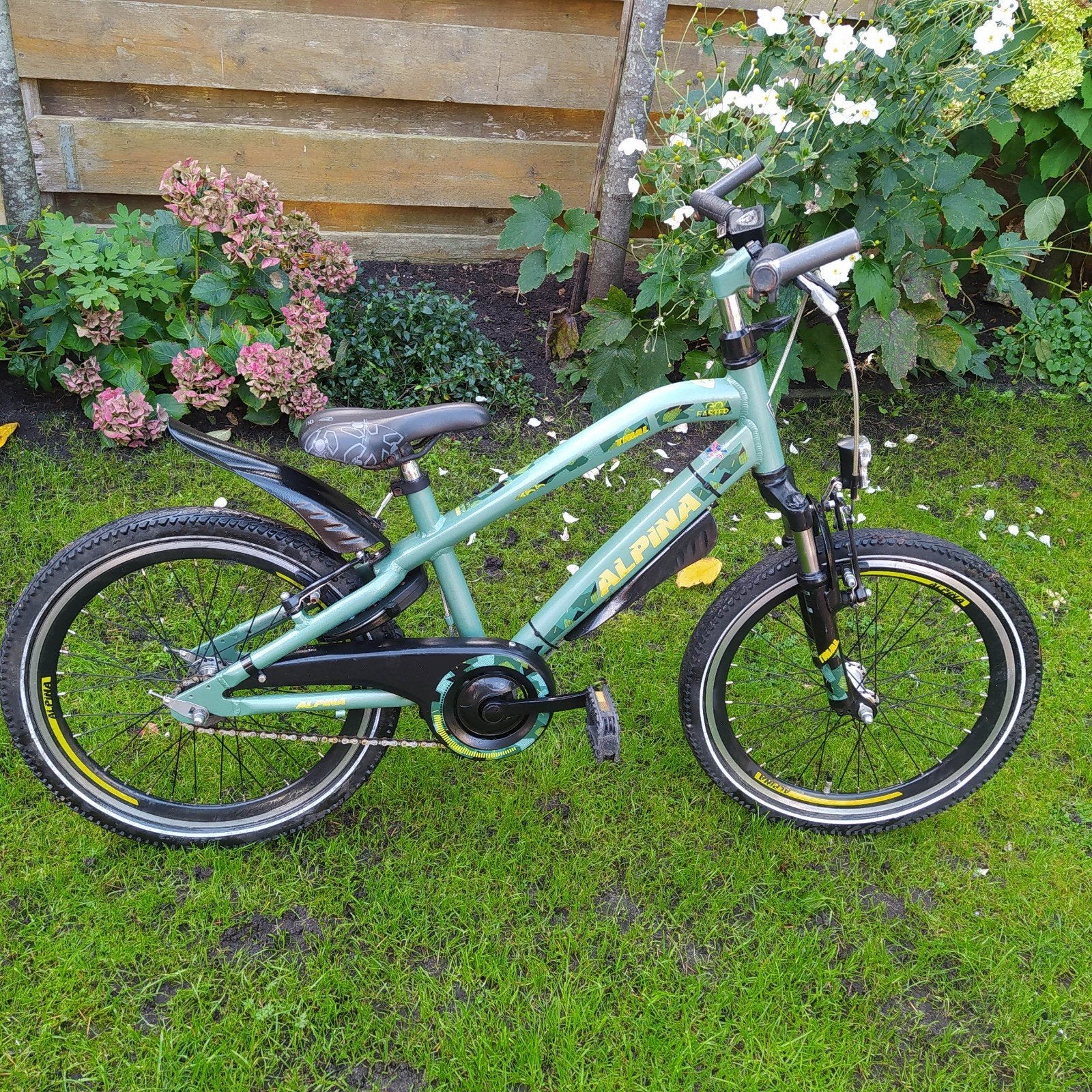20 inch Alpina Trial fiets, Ophalen