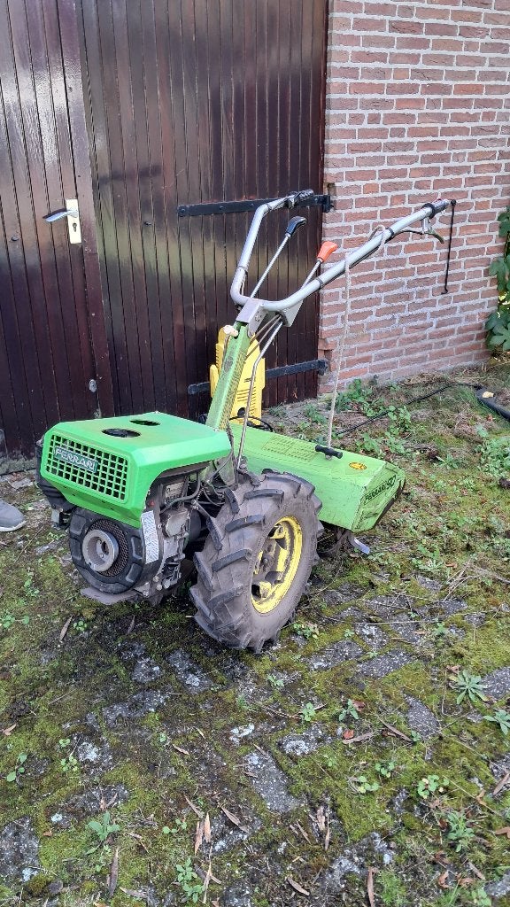 Ferrari 90 tuinfrees, Ophalen, Gebruikt, Overige soorten, Ferrari