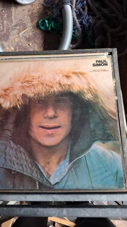 Paul Simon - There Goes Rhymin' Simon LP, Ophalen, LP, Gebruikt, 12 inch