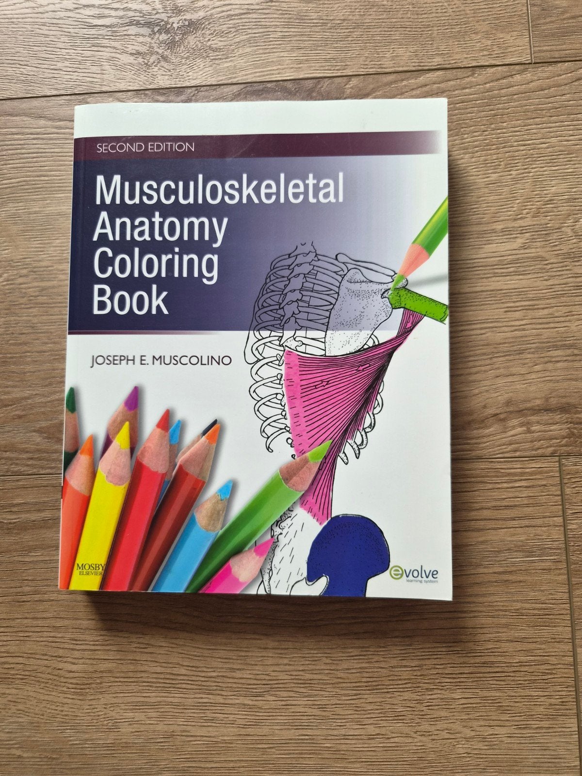 Musculoskeletal Anatomy Coloring Book - Joseph E. Muscolino, Gelezen, Beta, Joseph E. Muscolino, HBO
