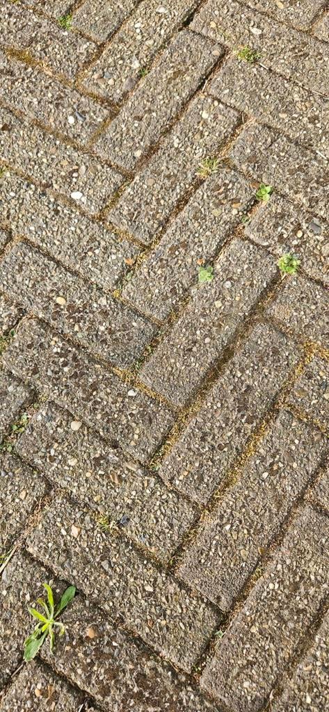 Ong 30 m2 dikformaat klinkers 20x6,5 cm.Weekend 30/5 ophalen, Ophalen, Gebruikt, Klinkers, 10 m² of meer