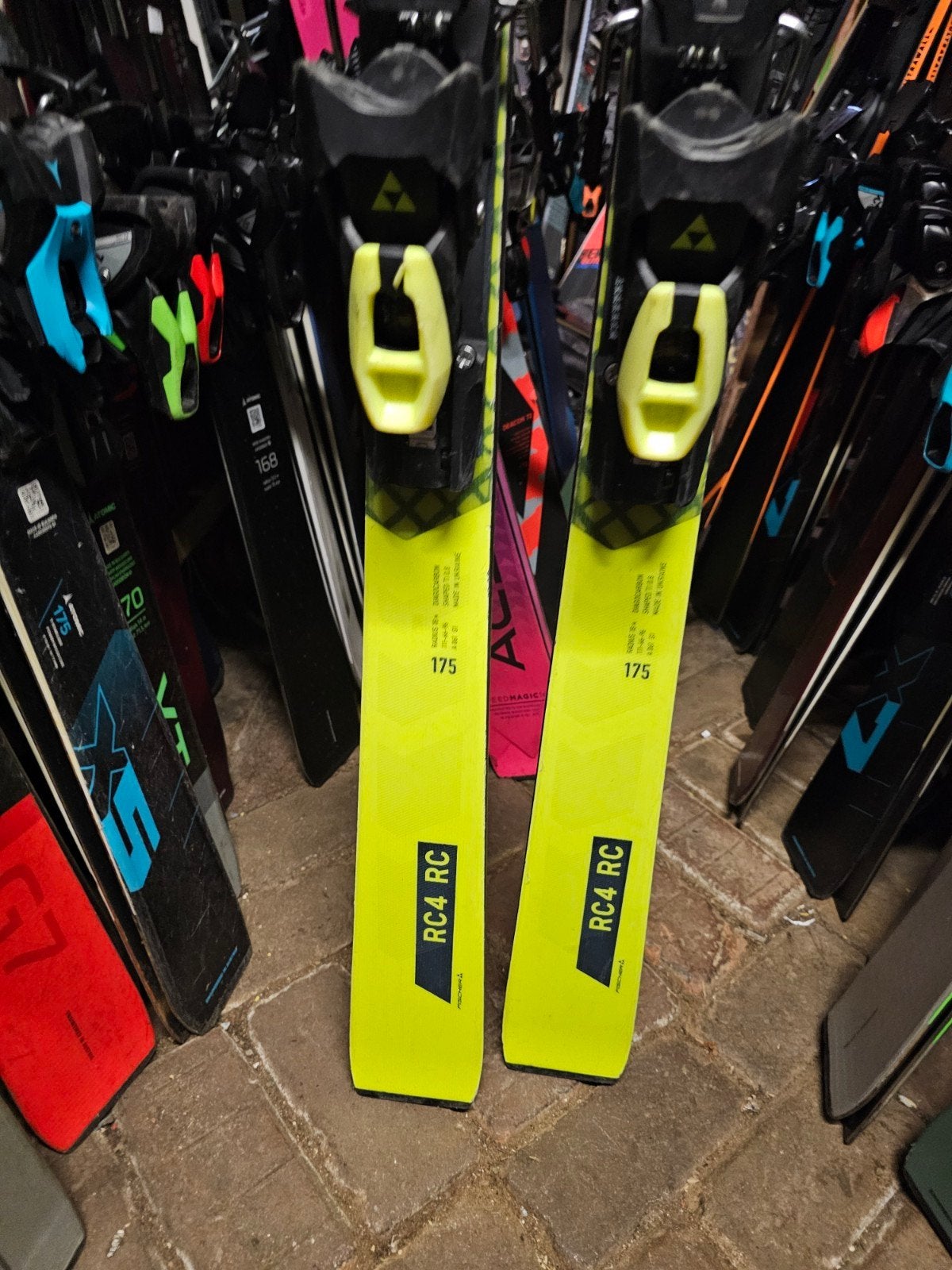 175cm FISCHER RC4 RC race platen np 1000€, 160 tot 180 cm, Ophalen of Verzenden, Carve, Skiën