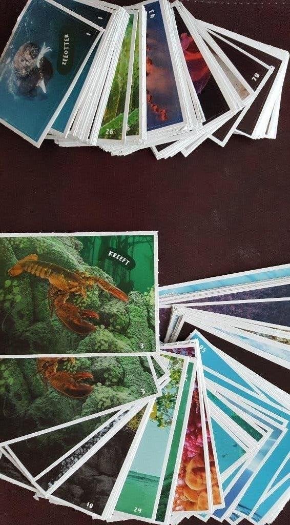 Freek Vonk/Expeditie Oceaanstickers - veel oceaanplaatjes!, Verzamelen, Albert Heijn, Ophalen