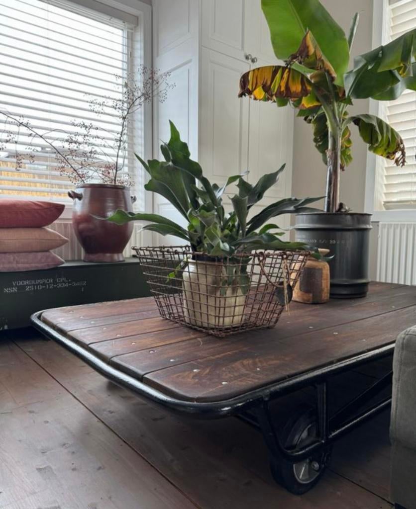 Nette transportkar plantenkar oranjerie tafel industrieel, Ophalen