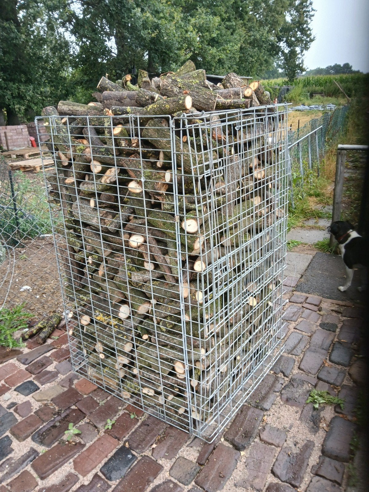 eiken  haardhout, Tuin en Terras, Haardhout, Minder dan 3 m³, Ophalen, Eikenhout
